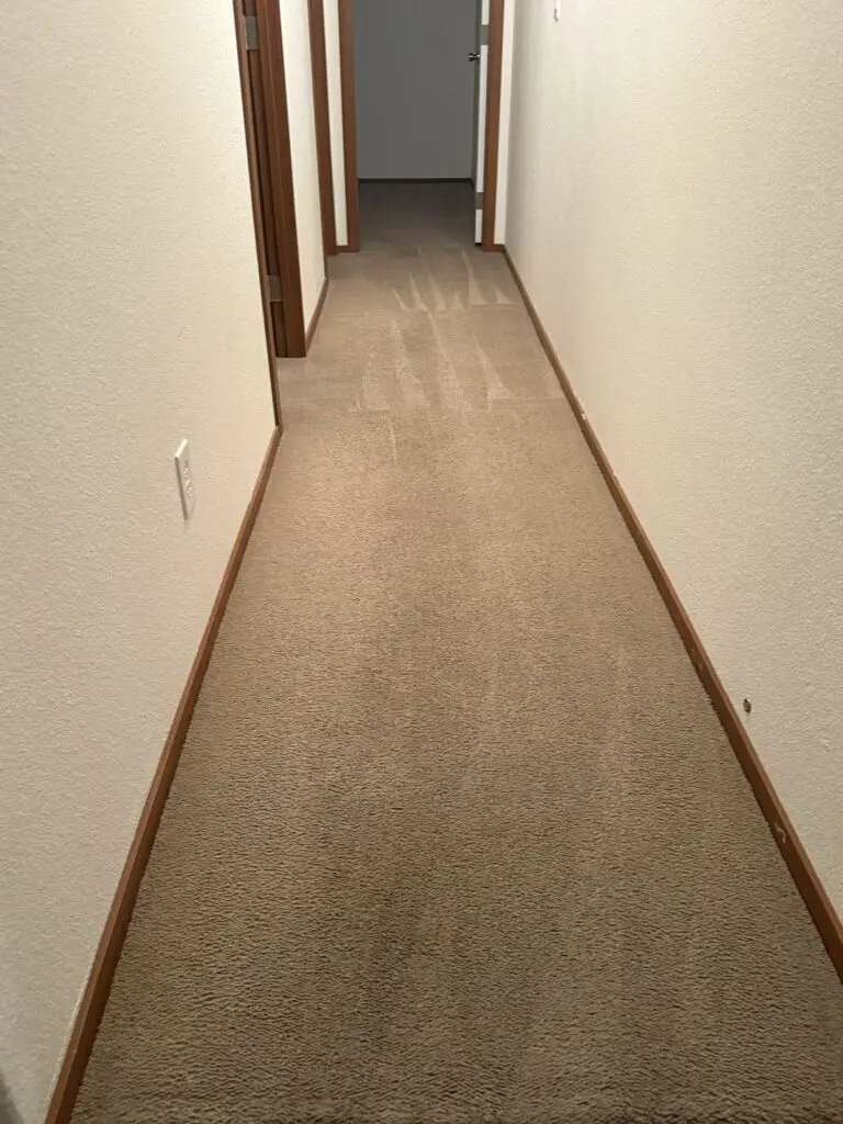 Carpet Cleaning in Montrose