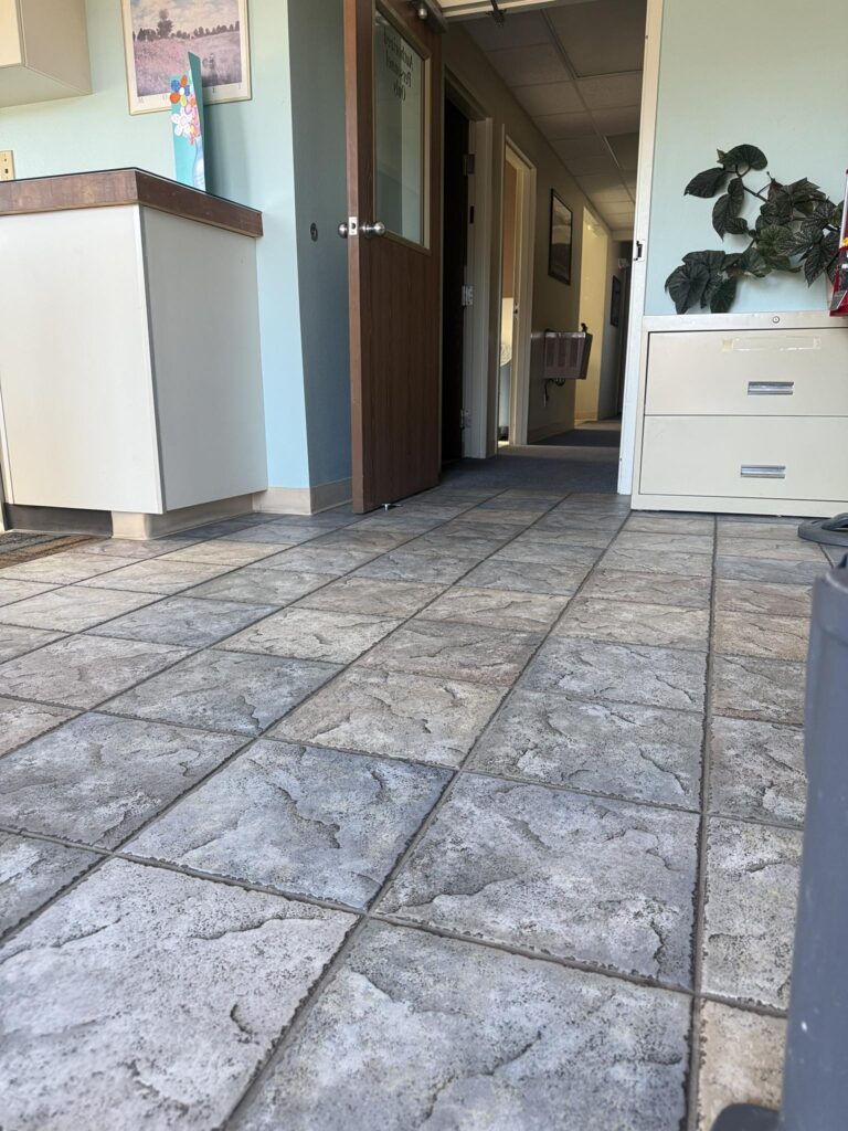 Commercial Cleaning Services In Montrose CO